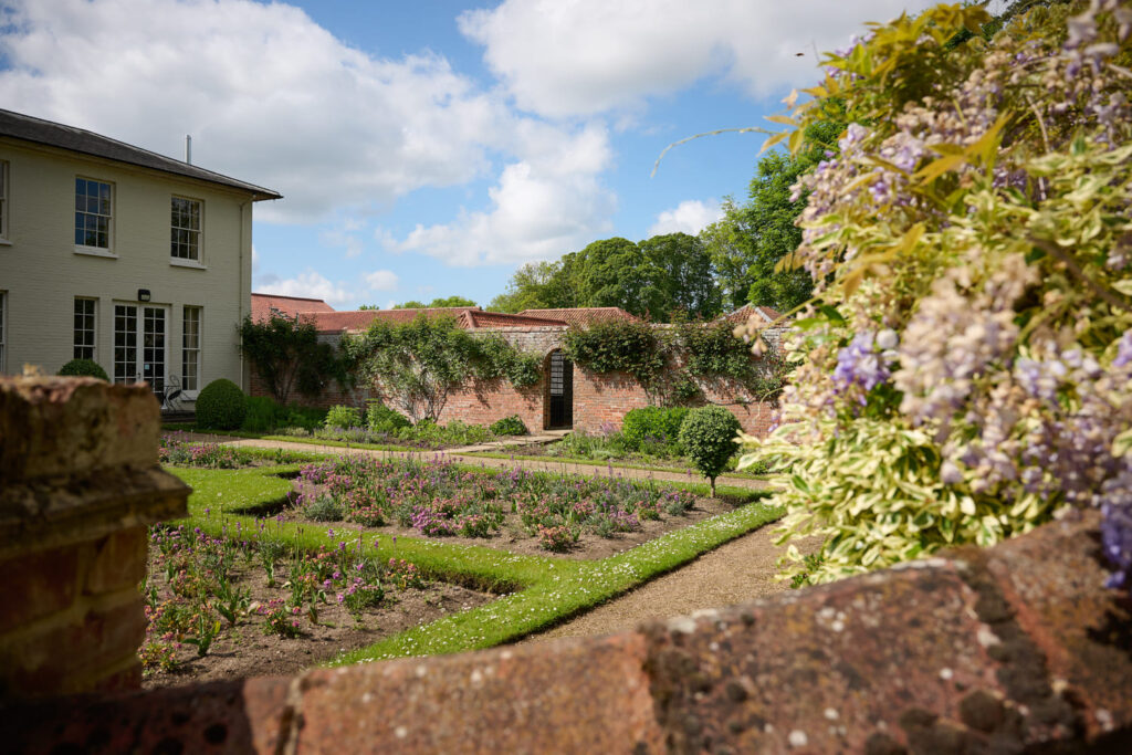 Plants growing in the Congham gardens