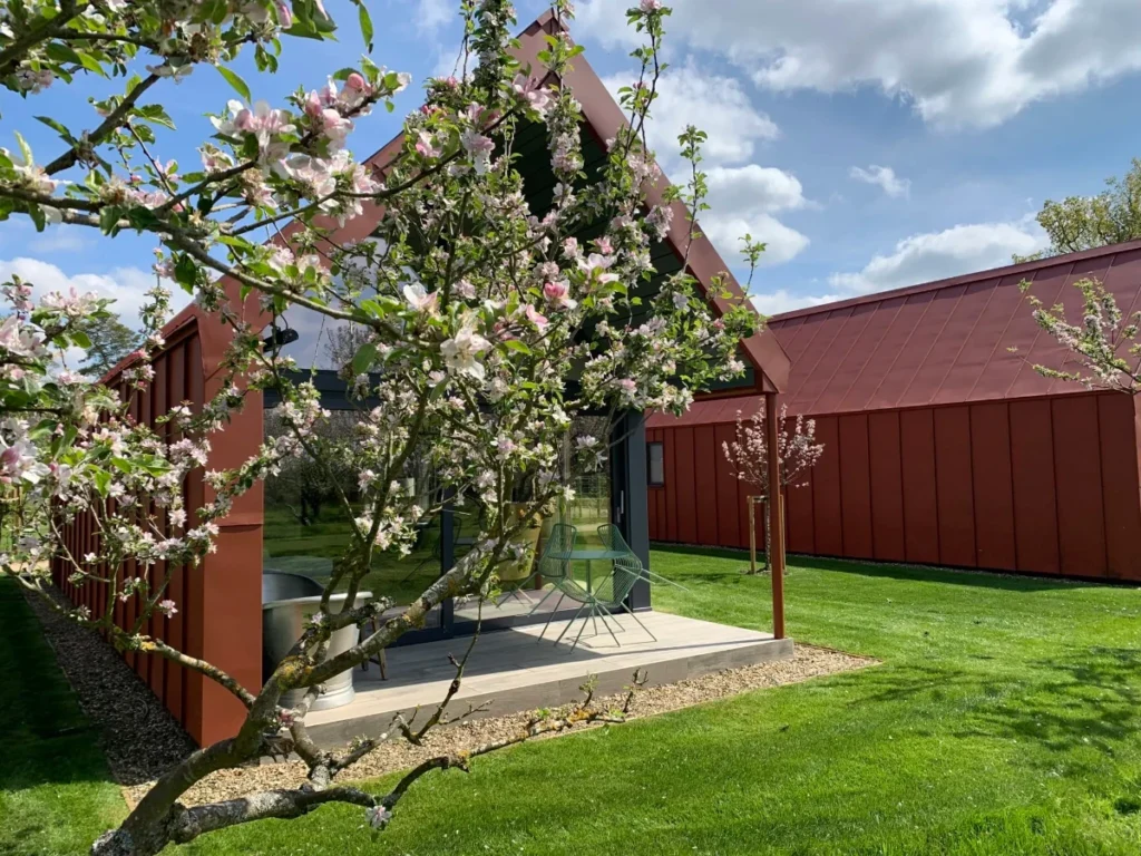 Orchard cabin with a blossoming orchard tree growing in front