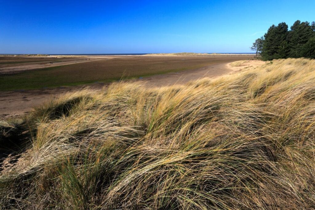 holkham beach norfolk