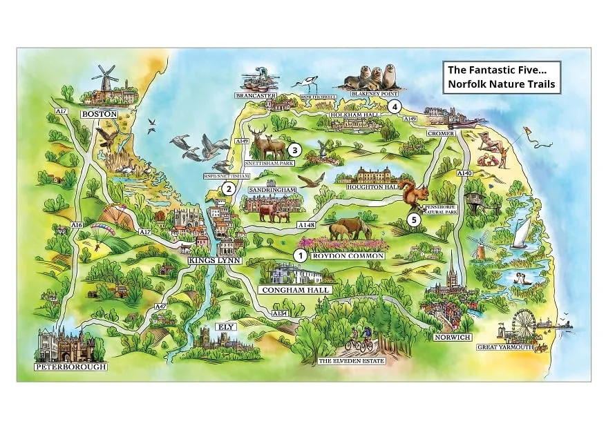 Nature trails in Norfolk hand drawn style map